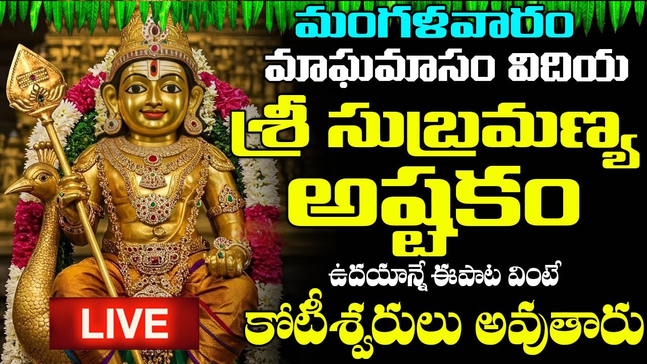 LIVE: మంగళవారం రోజున శ్రీ సుబ్రమణ్య స్తోత్రం వింటే కోట్లు సంపాదిస్తారు | Subrahmanya Stotram