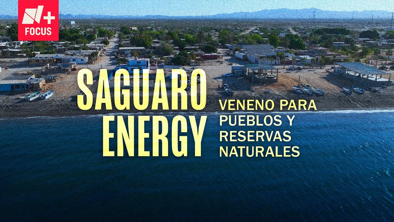 Saguaro Energy: Veneno para los ecosistemas - N+ Focus