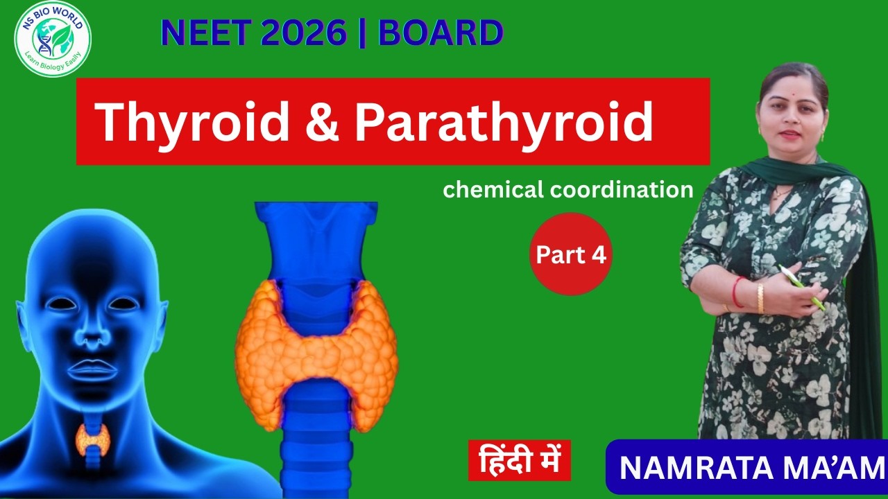 Chemical Coordination & Integration Part4 | Thyroid & Parathyroid Gland | Class 11 Biology| NEET2026