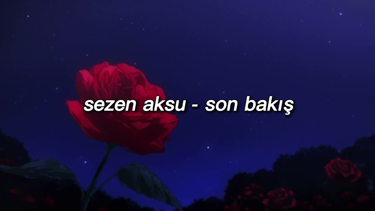 sezen aksu - son bakış //slowed+reverb
