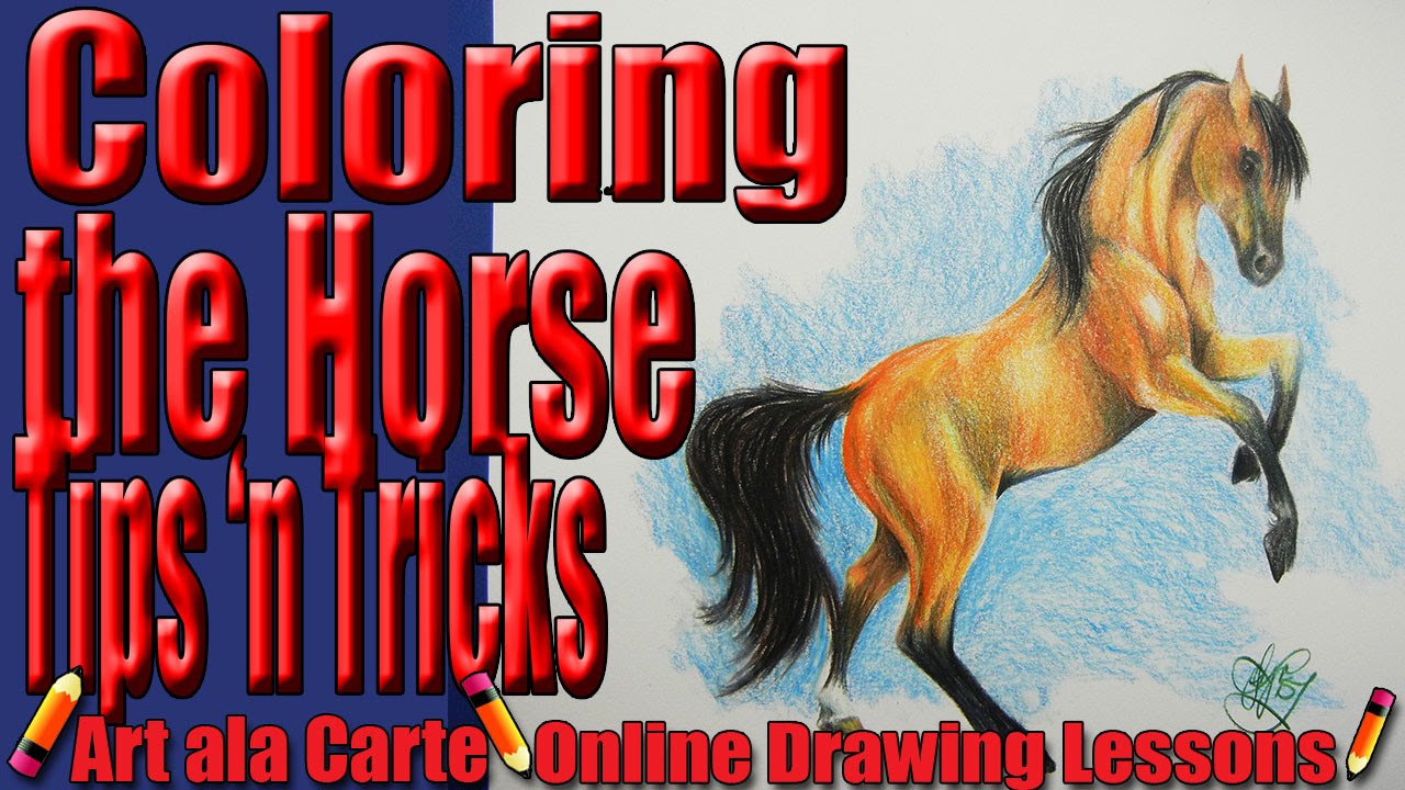 Coloring this horse and giving you some tips along the way    How that for a title