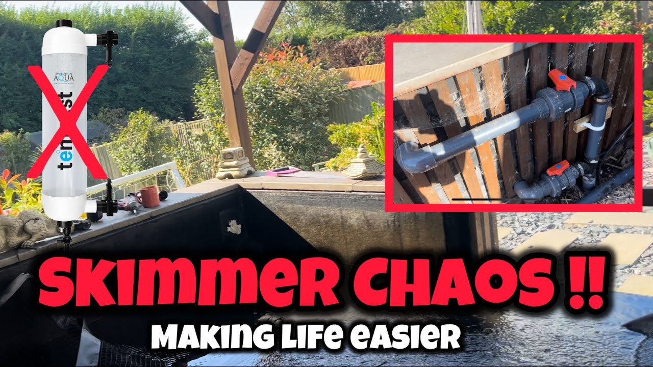 Skimmer Chaos - Running Pond skimmer to Drum Filter & Bye bye Tempest filter!!