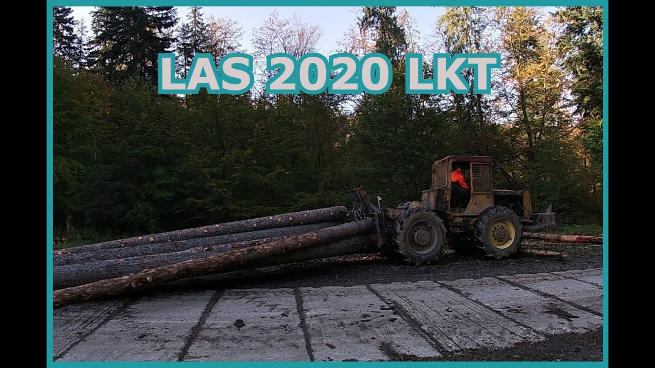 Zrywka w lesie 2020 Lkt 81