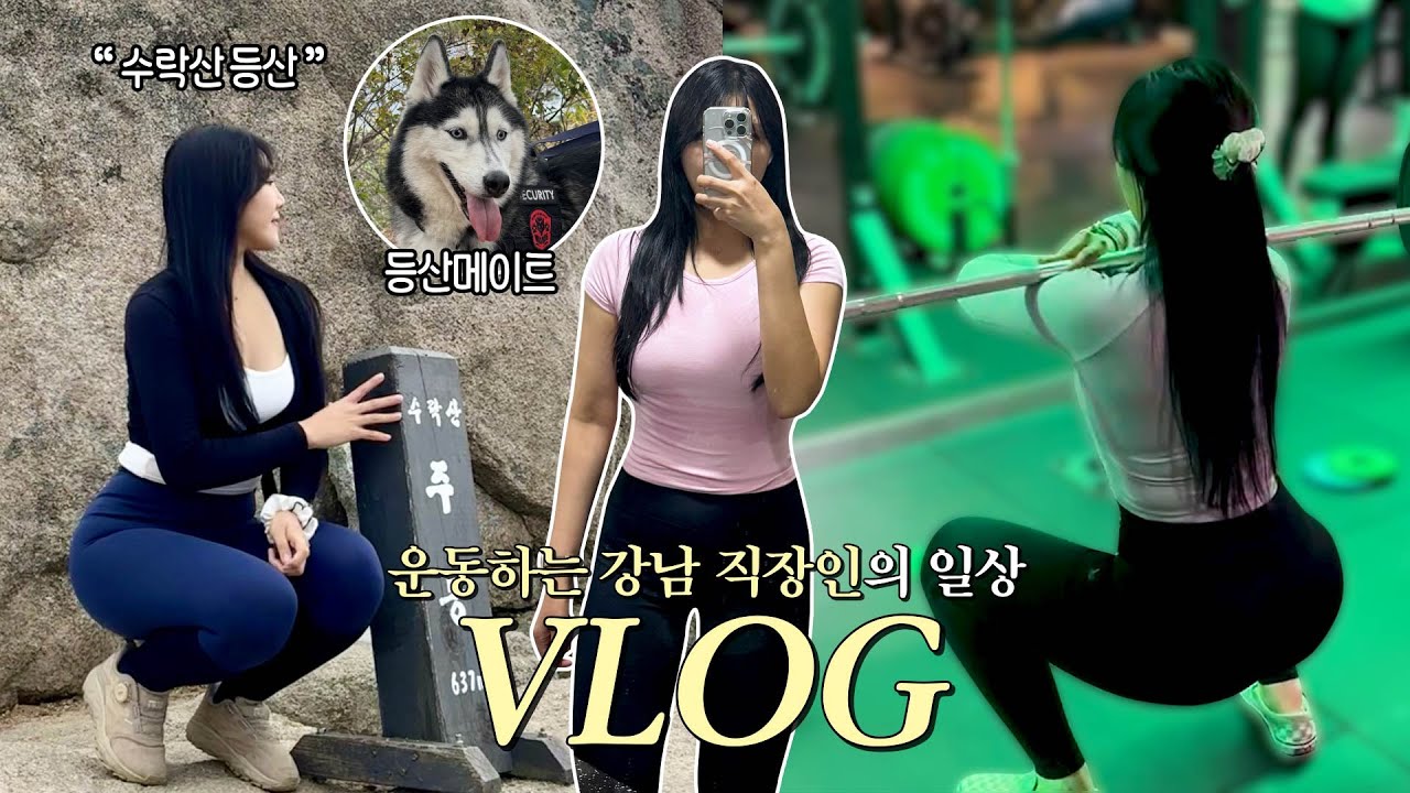 VLOGㅣ주 5일, 웨이트하고 체육대회하고 등산하고.. 운동하는 직장인 브이로그😀ㅣ수락산 등산⛰️ㅣ워크샵ㅣ가평 글램핑ㅣ팀버핏ㅣ강남 직장인ㅣ헬스브이로그ㅣ헬린이 힙 운동 루틴