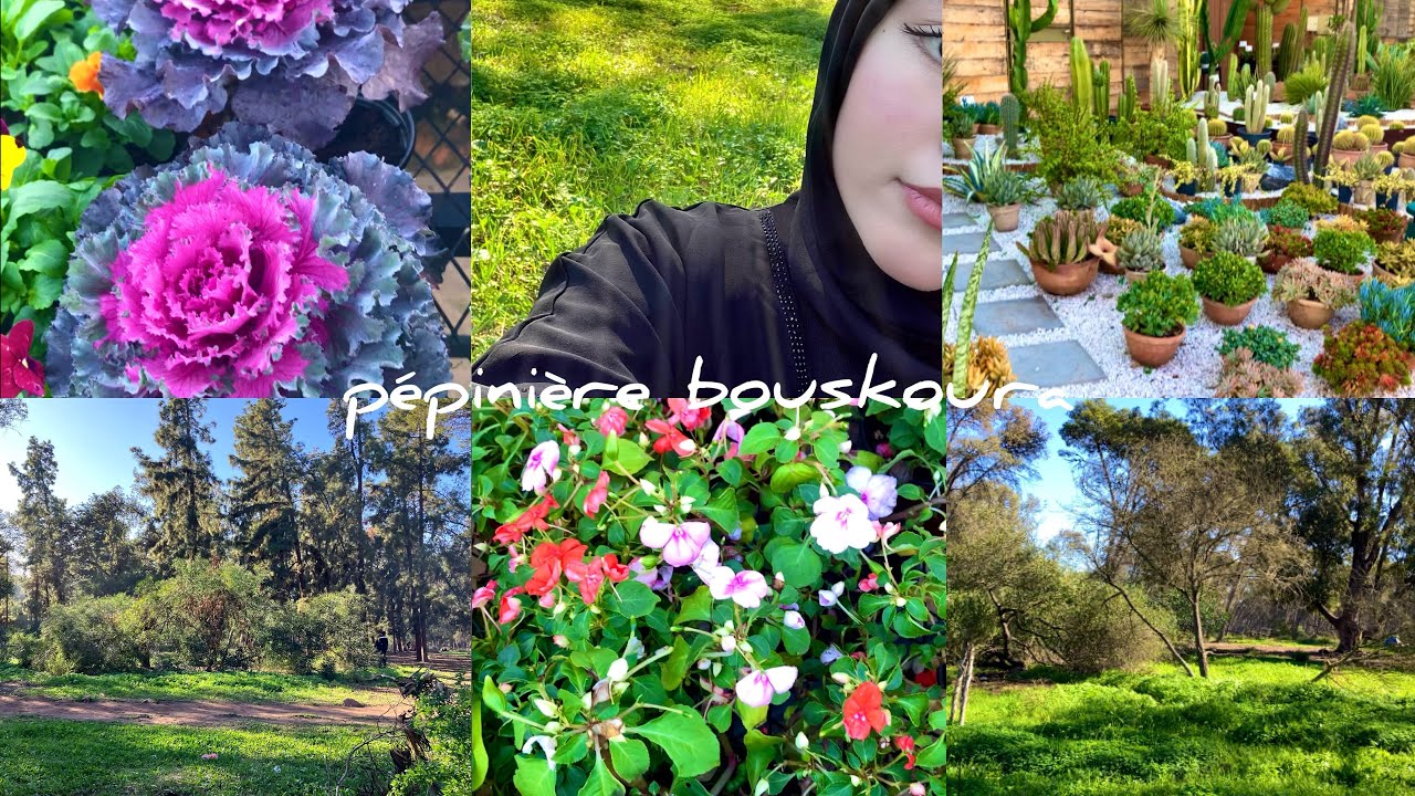 pépinière💐 bouskoura جولة في 🌳 بوسكورة و