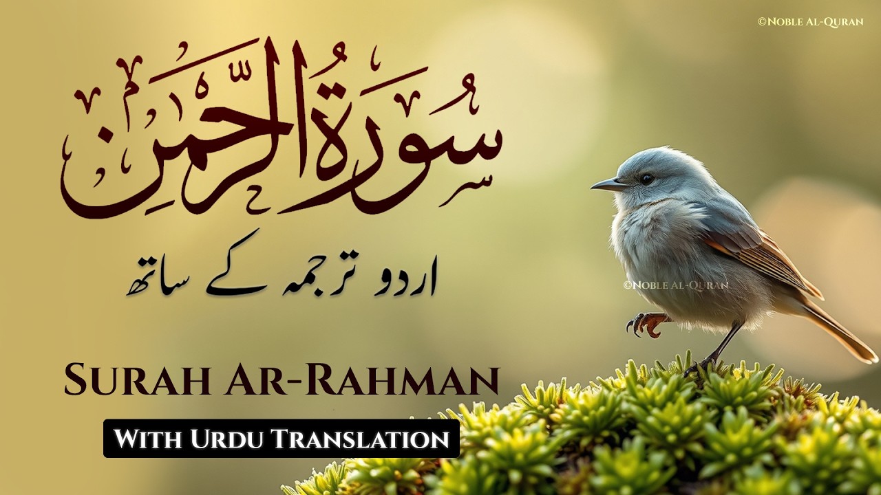 Surah Rahman Urdu Tarjuma k Sath | Surah Rahman With Urdu Translation | Heart Soothing Recitation