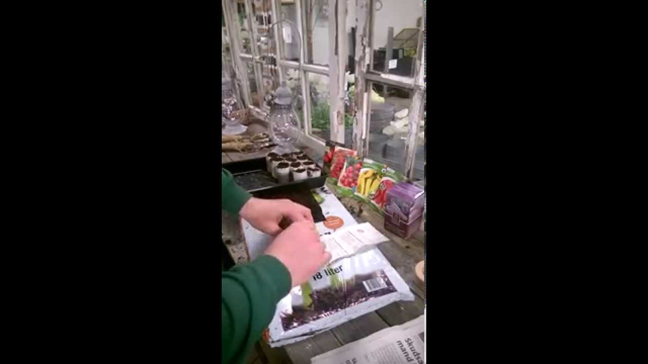 Korsbakkes Planteskole Pot maker the movie