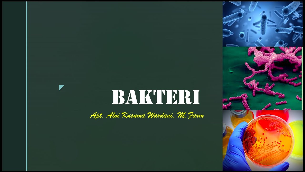 Bakteri (Part 1) | Kuliah Mikrobiologi