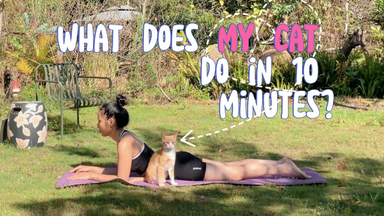 What Does My Cat Do in 15 Minutes? 🐱☀️ | Sun Bath Yoga