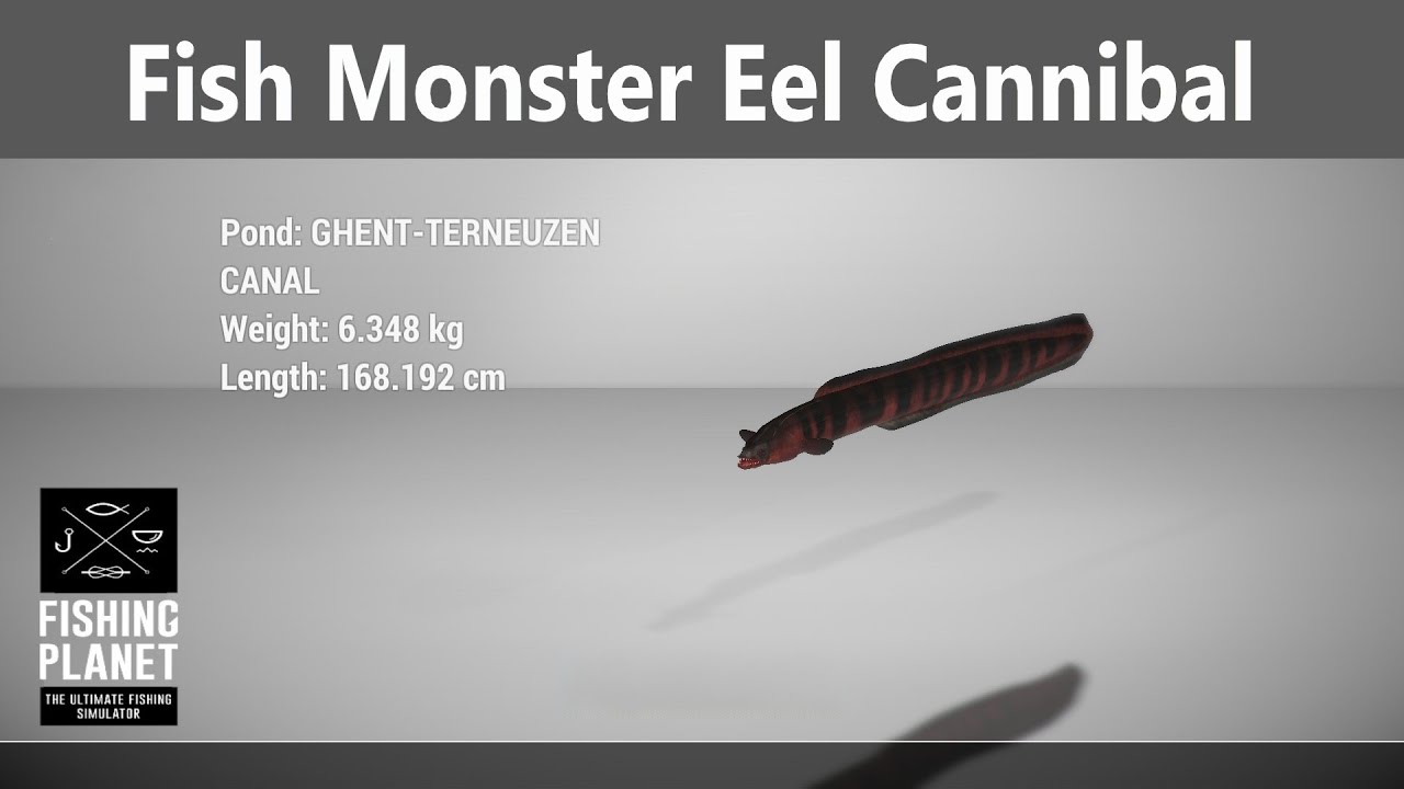 Fishing Planet, Fish Monster Mission, Eel Cannibal, Ghent Terneuzen