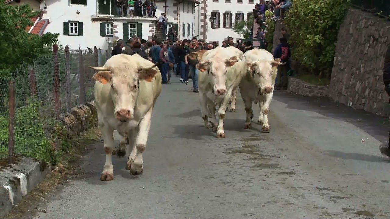 La marque d' Urepel