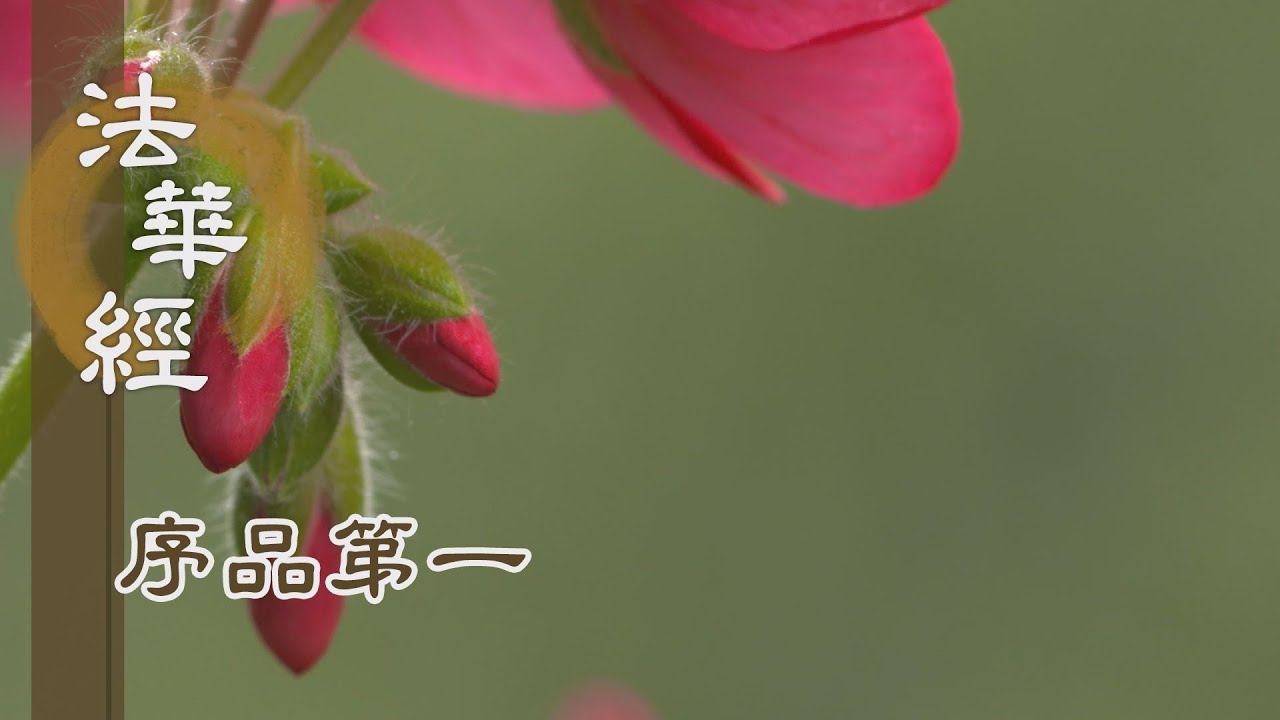 【靜思妙蓮華】法華經序品第一 - 五時設教應根機 - 20191031 第10集