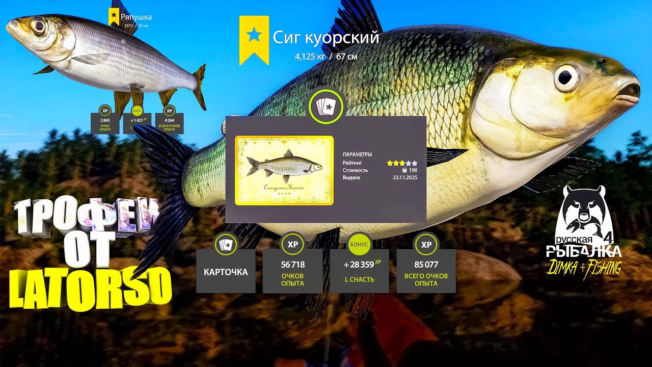 Русская рыбалка 4.🎣🦈 оз. Куори 🐳🐳💦 ТРОФЕИ от LATORSO 👀