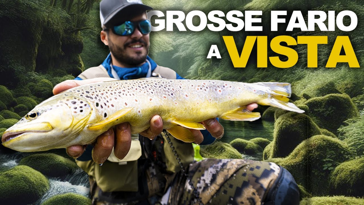 GROSSE TROTE FARIO a VISTA; SPINNING in TORRENTE