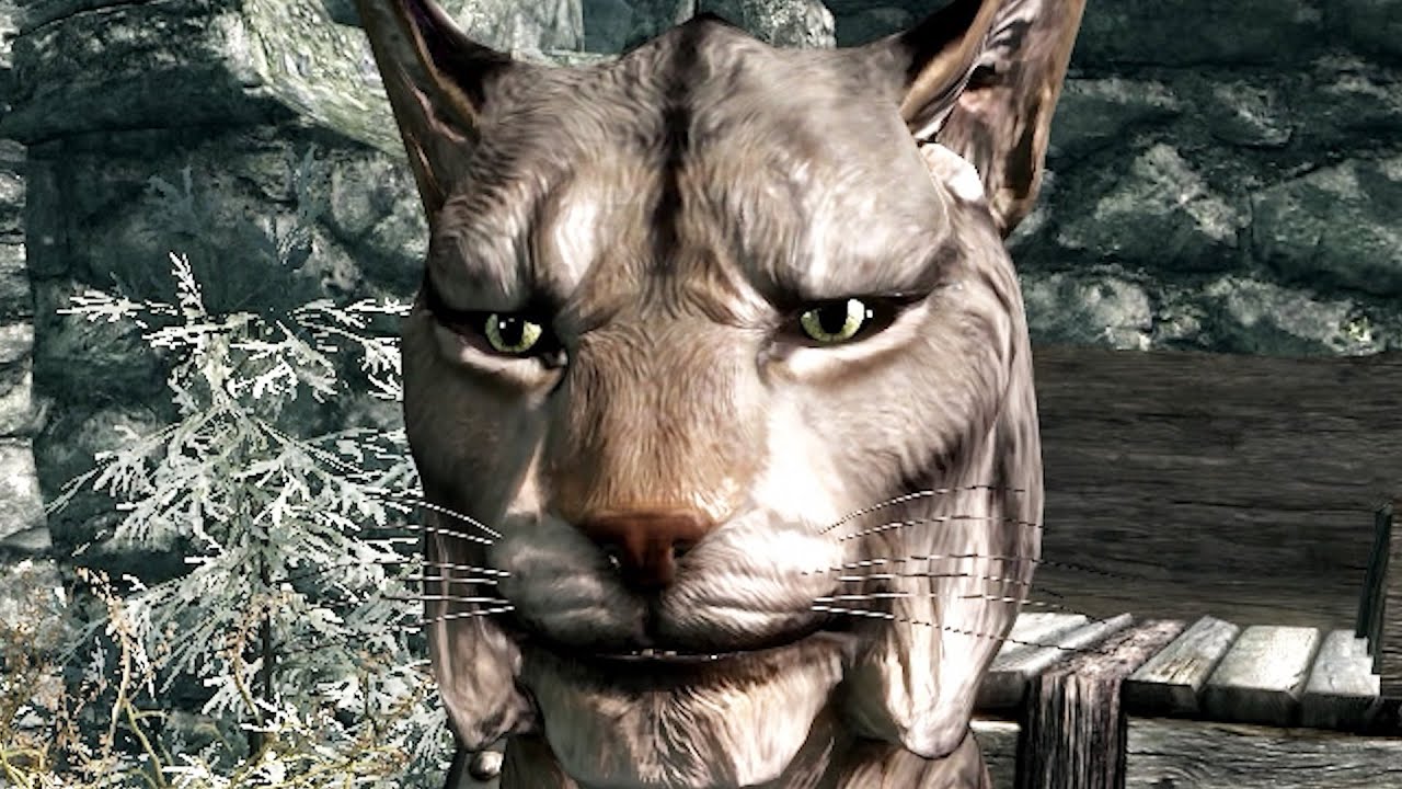 Skyrim ma sono in ritardo di 15 anni