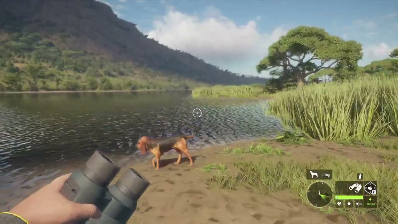 More Lion Hunting! TheHunter: Call of the Wild