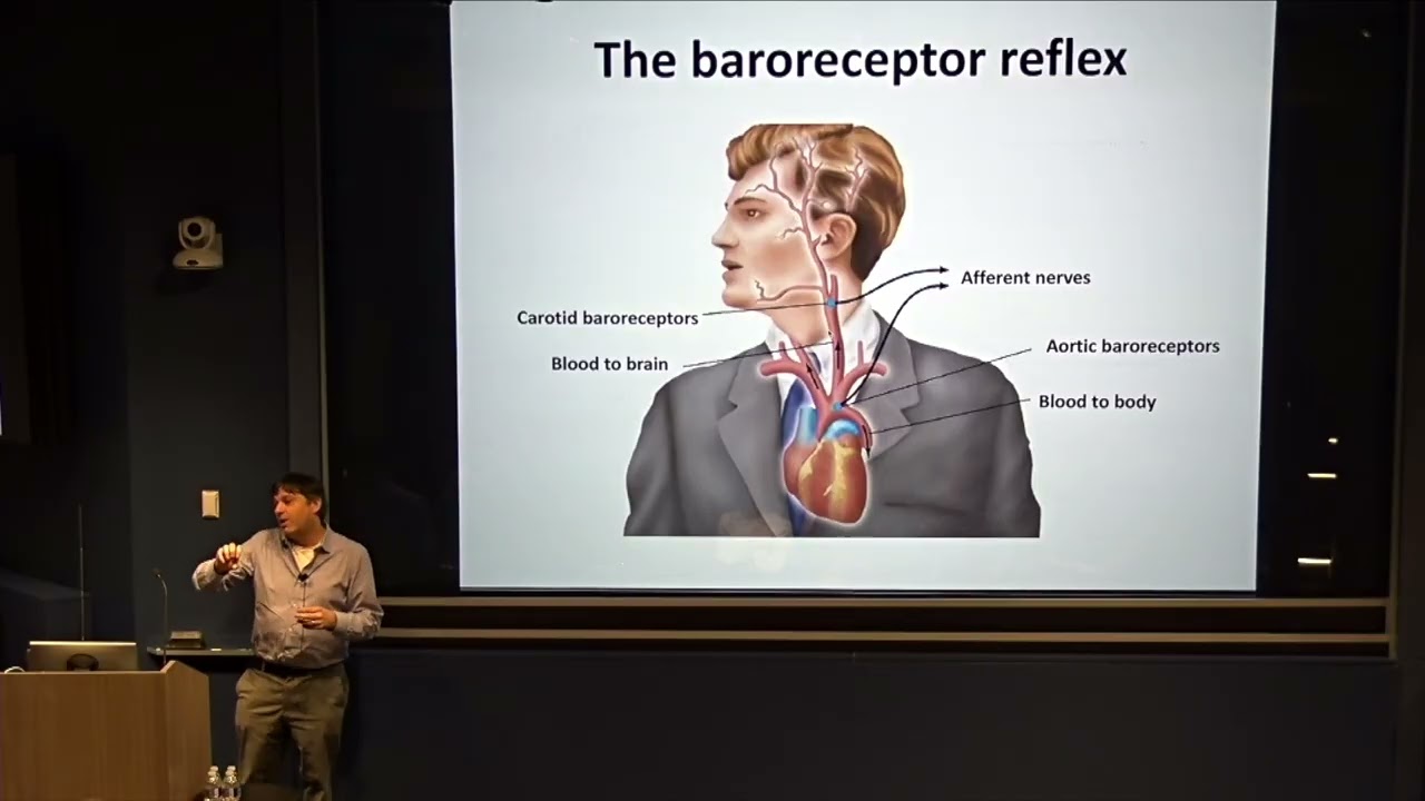 Stephen Liberles: The Vagus Nerve: How the Brain Listens to the Body