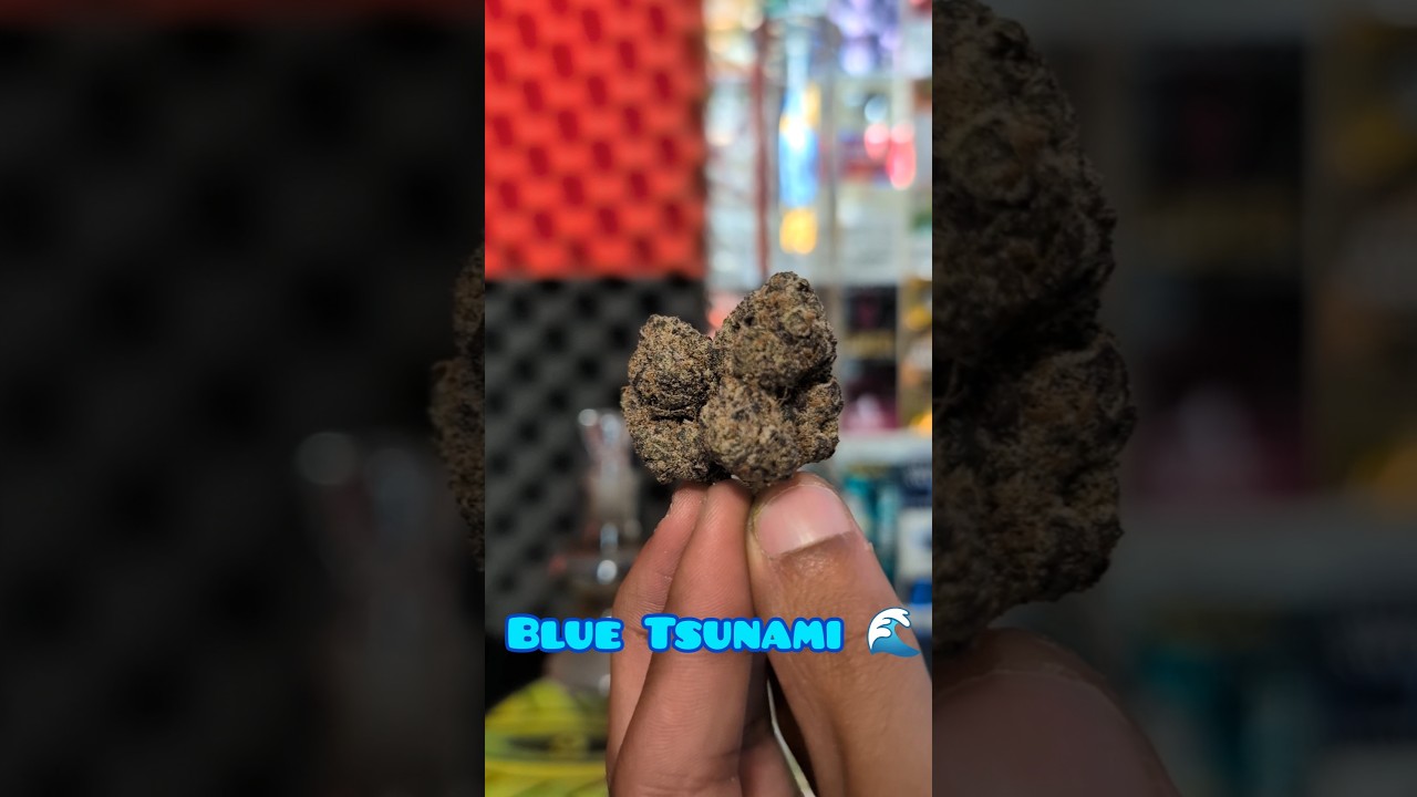 BLUE TSUNAMI 🌊 BONG RIP🔥 #420 #review #cheers