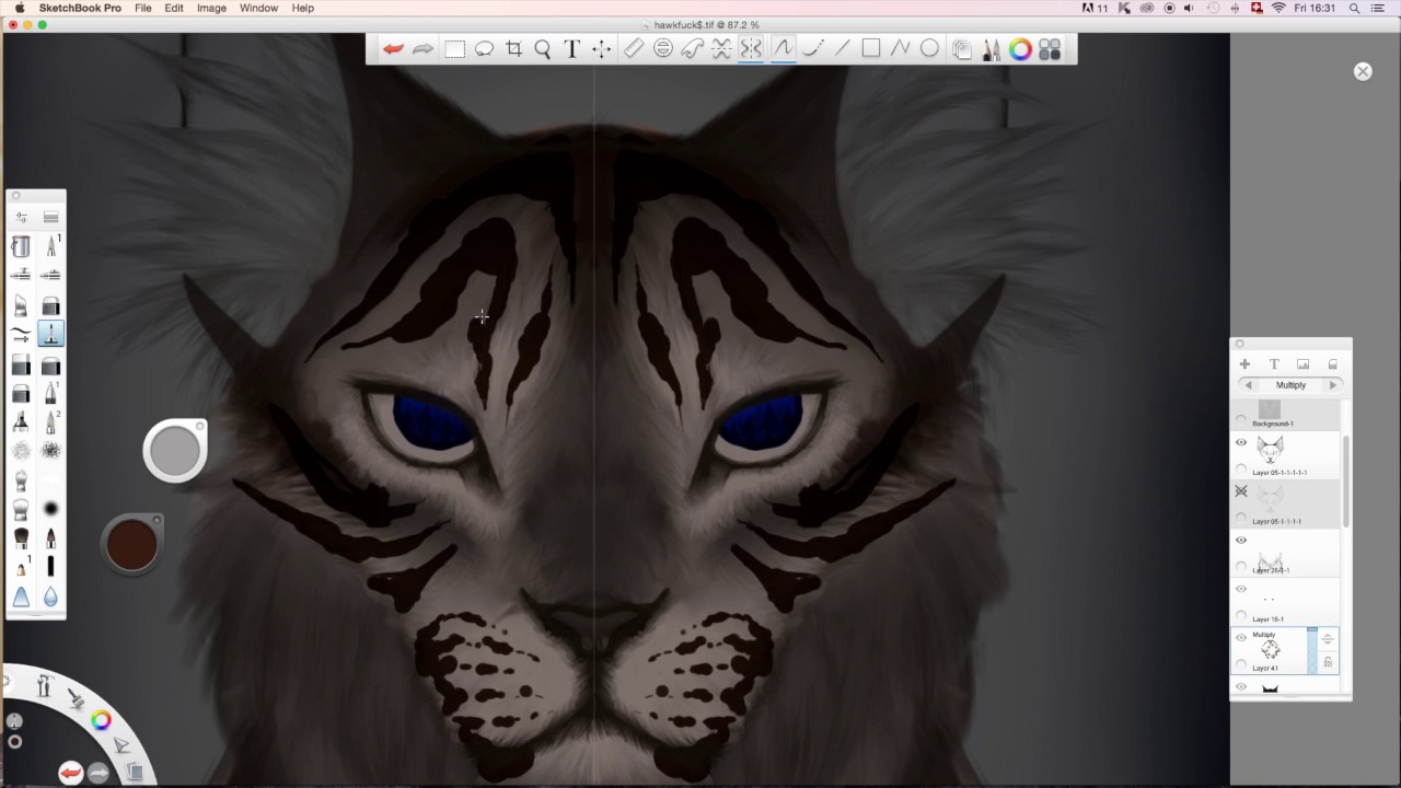 ~Hawkfrost~ Speedpaint (Symmetry, semi-realism)