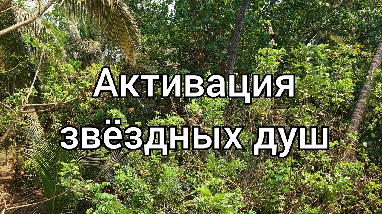 Звёздные души :) Странники:)) Миссия на Земле :))