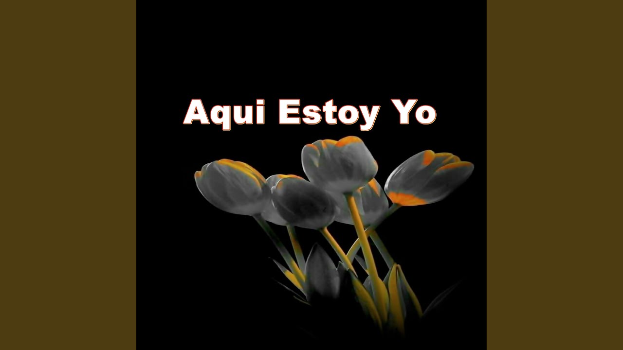 Aqui estoy yo
