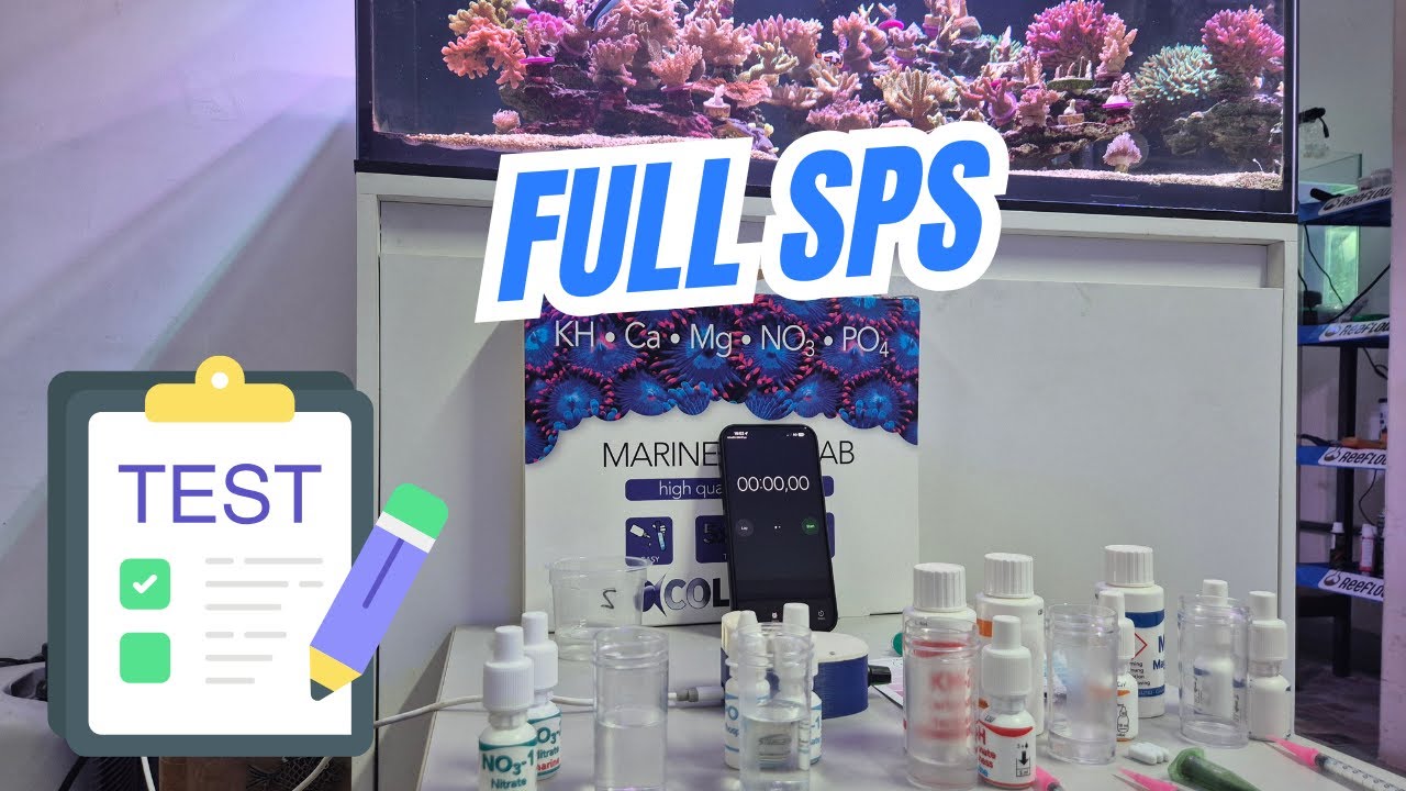 Todos os detalhes de um Aquário Full SPS em crescimento