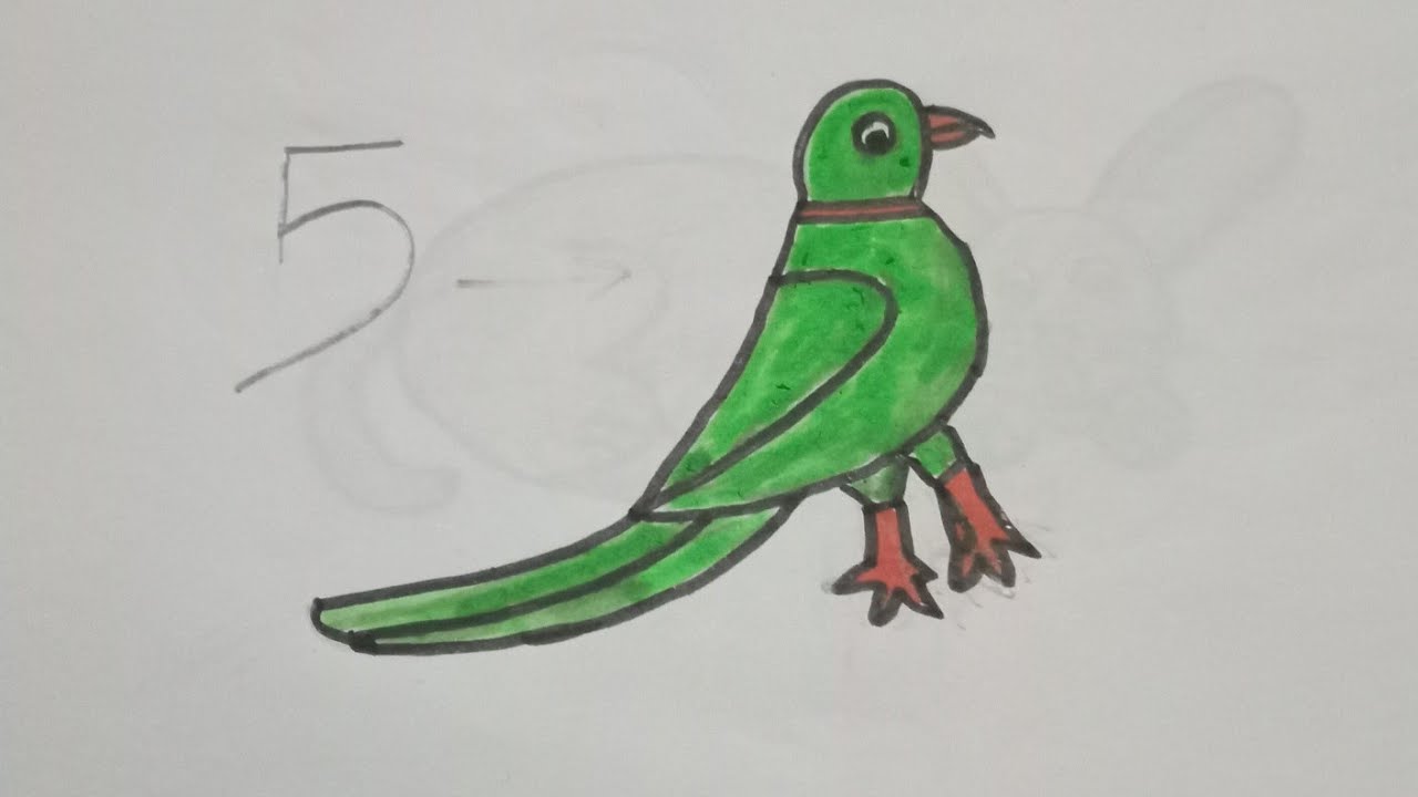 How to draw parrot drawing from number 5 | Parrot Drawing Easy | parrot drawing with Colour