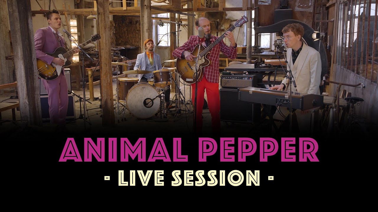 ◄ Animal Pepper ► 