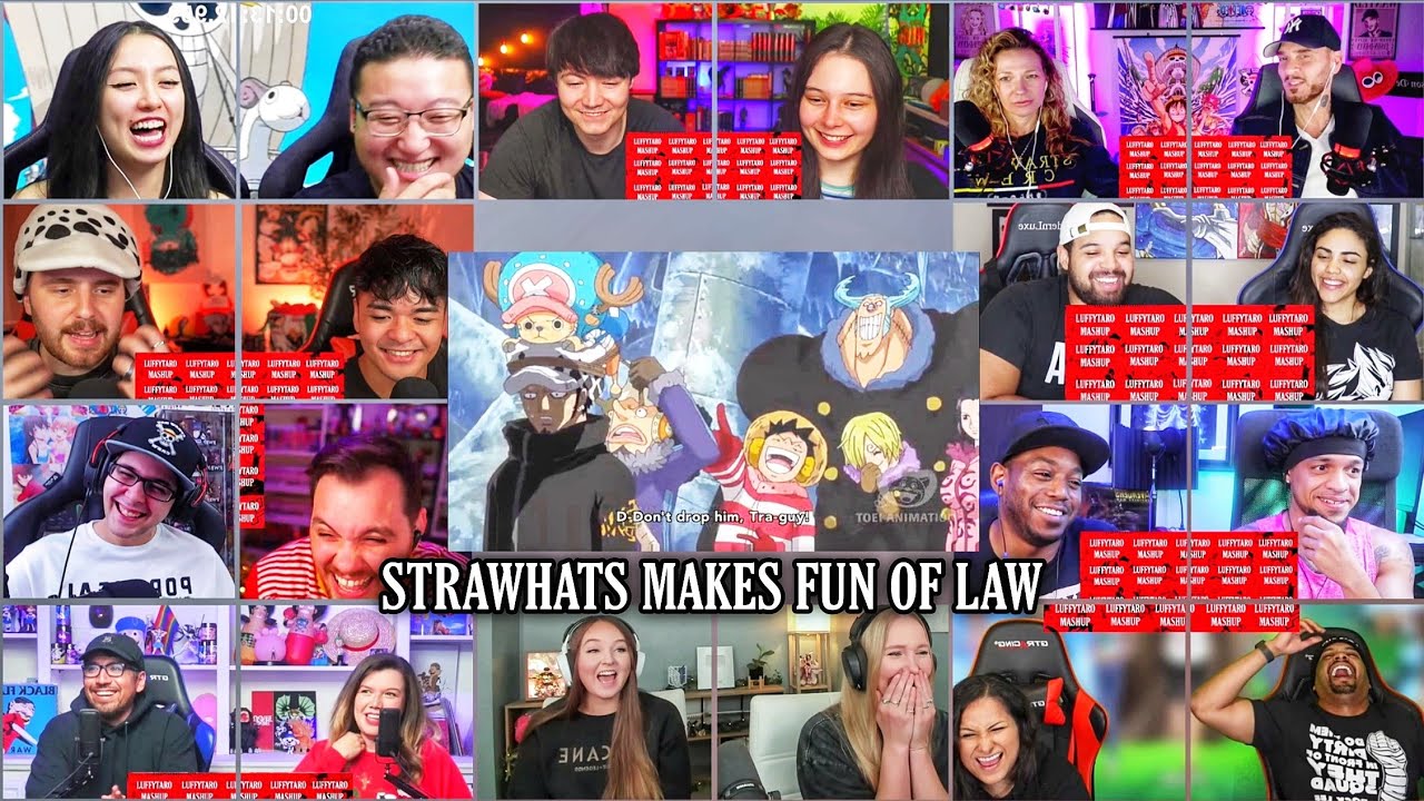 Strawhats Makes Fun of Law Reaction Mashup | One Piece Episode 594