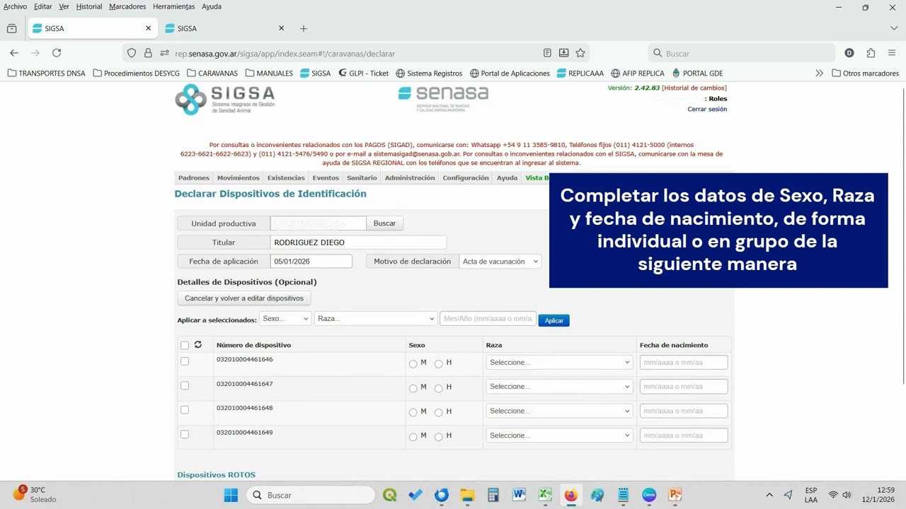 Declaración dispositivos manual