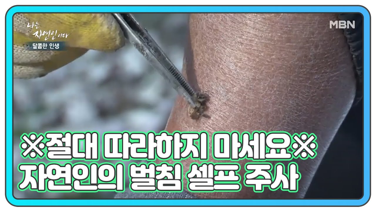 ※절대 따라하지 마세요※ 자연인의 벌침 셀프 주사 MBN 201216 방송