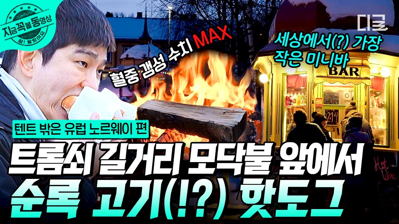 [#텐트밖은유럽노르웨이편] 눈밭 사이로 '스노모빌' 타고♪ 설산 흠뻑 즐긴 3형제❄️ 북유럽의 파리 트롬쇠의 모닥불 앞에서 순록 핫도그와 낭만을 만나다..★ | #지금꼭볼동영상