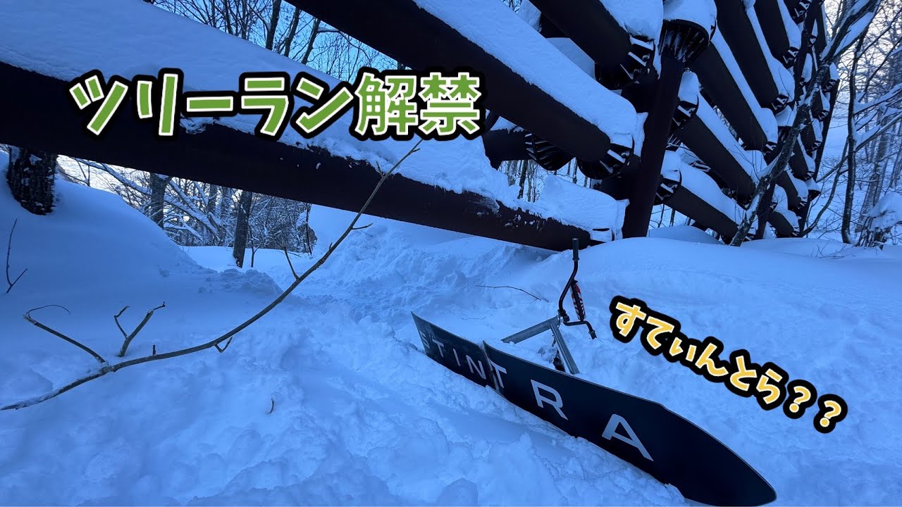 2025-26season ツリーラン解禁　STINGRAYS wingpintail スノーモト SNOWMOTO スノースクート SNOWSCOOT