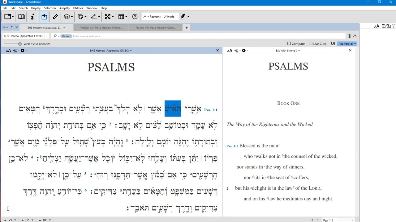 Accordance Basics for Hebrew