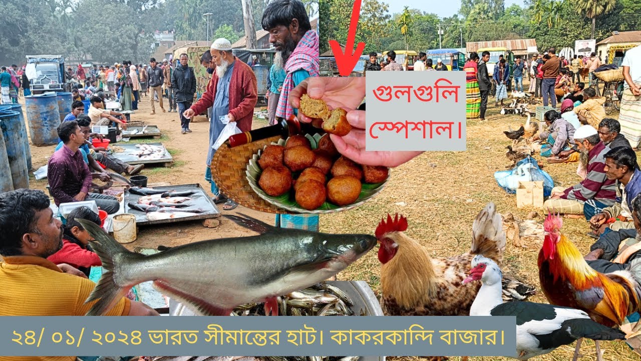 পাহাড়ি জনপদের হাঁস মুরগির হাট। দেশি মাছে ভরপুর। Village Market In Today। কাকরকান্দি বাজার ২০২৪