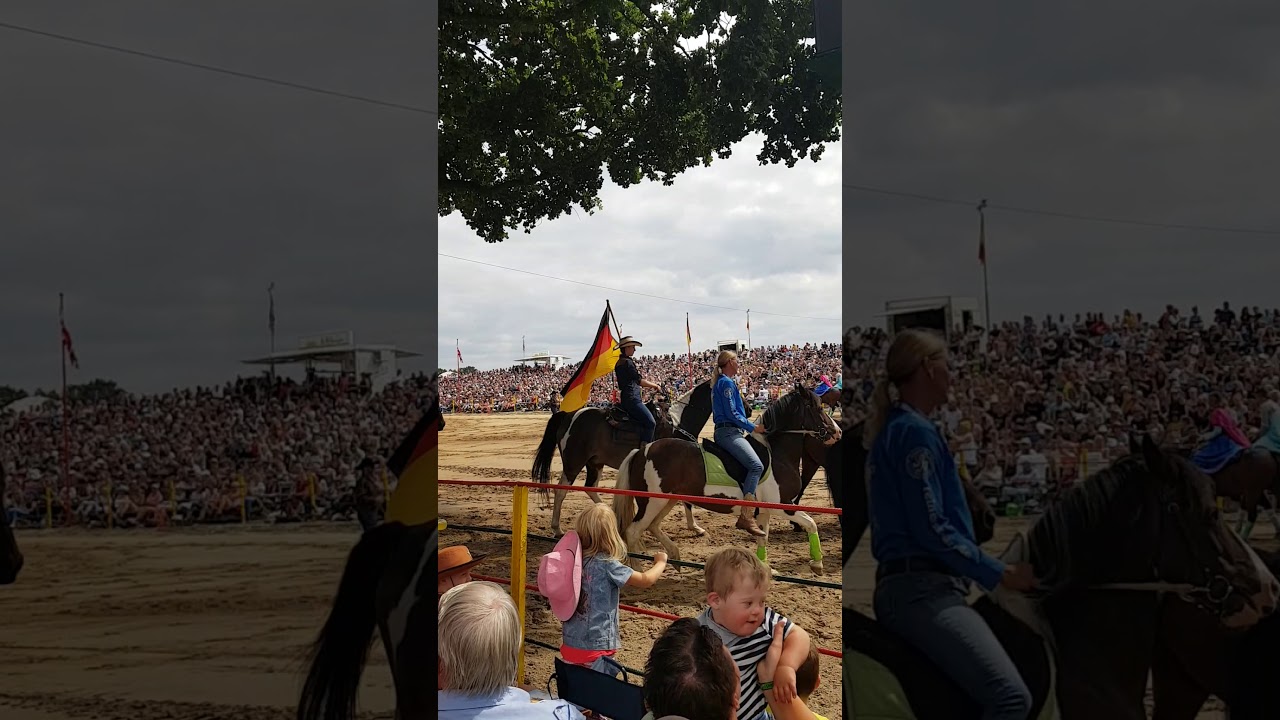 NBHA  Germany Junkern beel 🤠🤠📞📞🐎🐎🐎