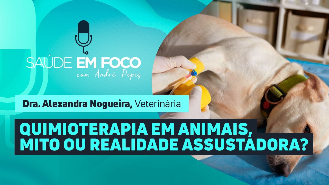 QUIMIOTERAPIA EM ANIMAIS, MITO OU REALIDADE ASSUSTADORA? | Saúde em Foco Podcast - 03/03/2026