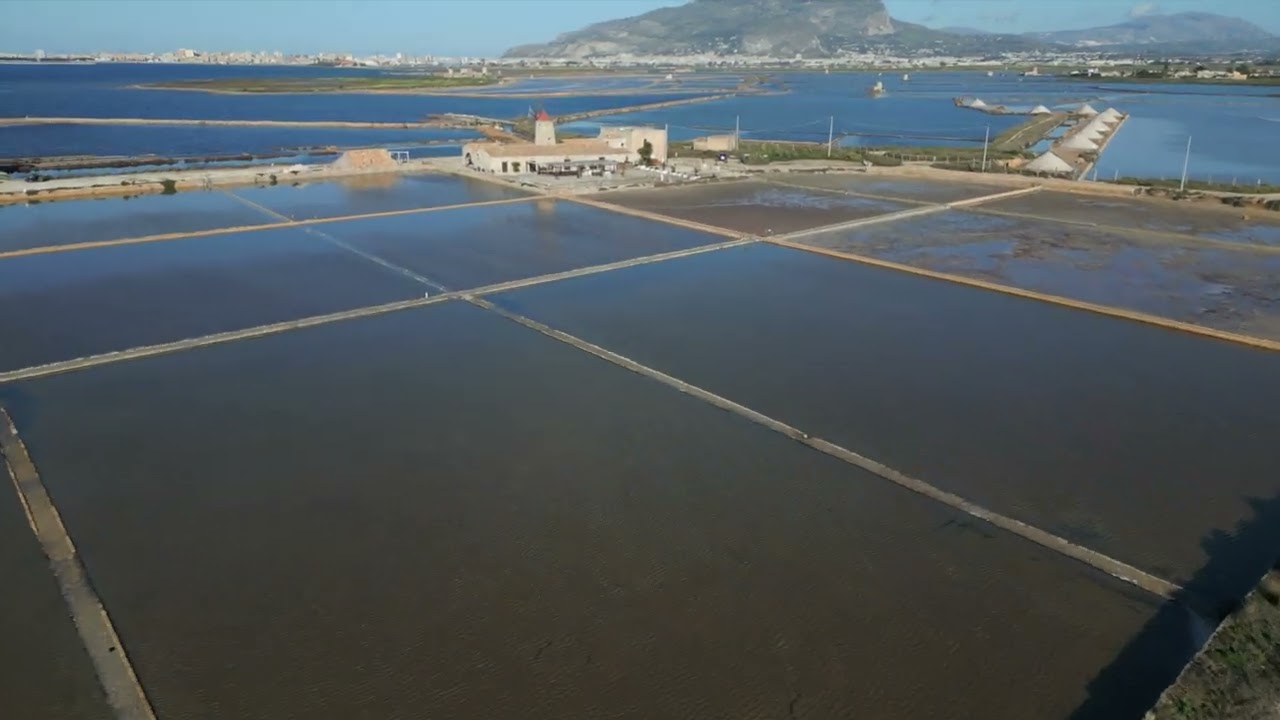 Saline Culcasi