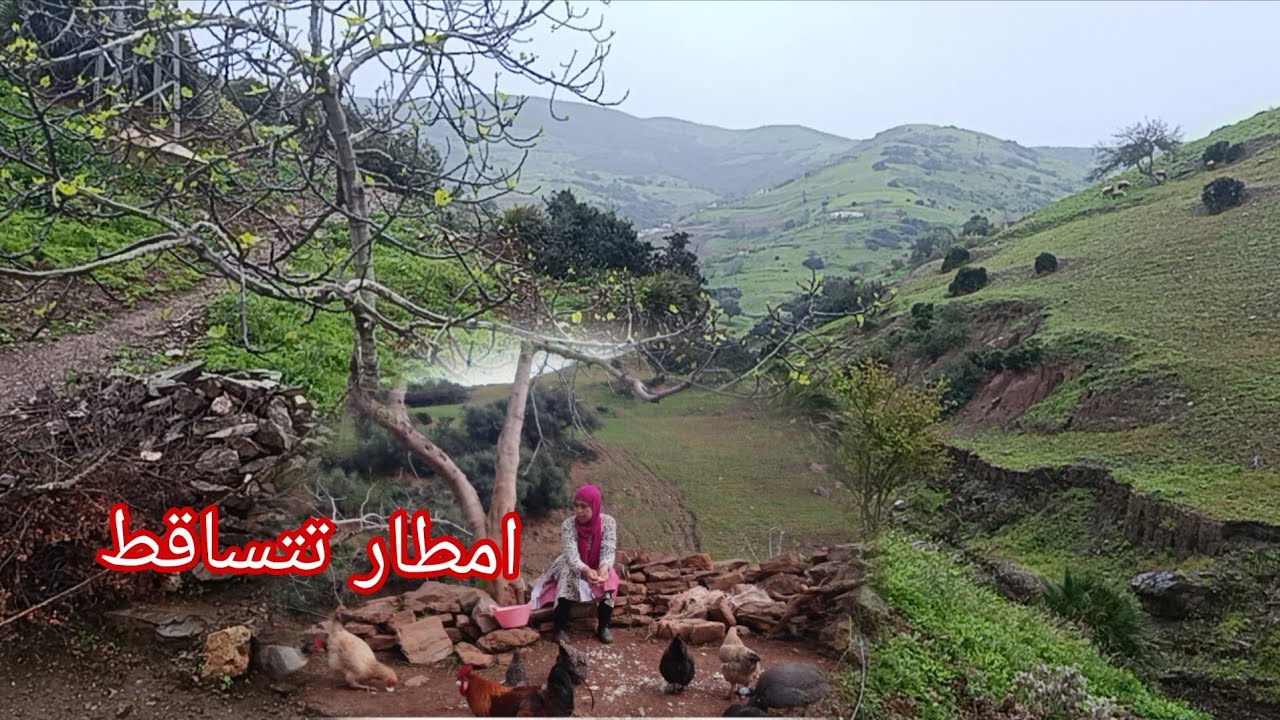 هكذا نعيش حياتنا اليومية بسيطة معكم 🌧️ وصول امطار بقريتنا اليوم 🌧️