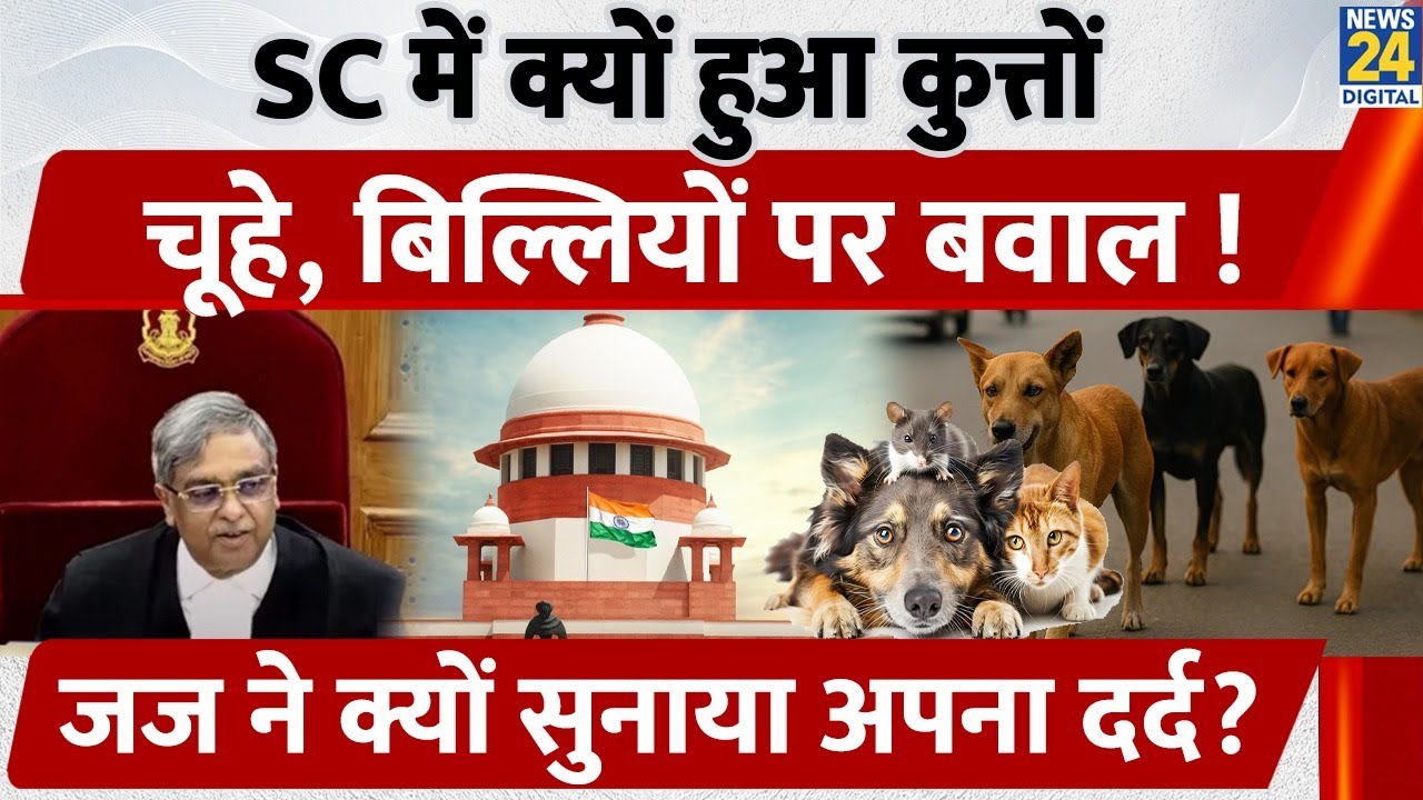 Supreme Court में क्यों हुआ कुत्तों चूहे, बिल्लियों पर बवाल!| Delhi NCR Dog Attack Case | Stray Dogs