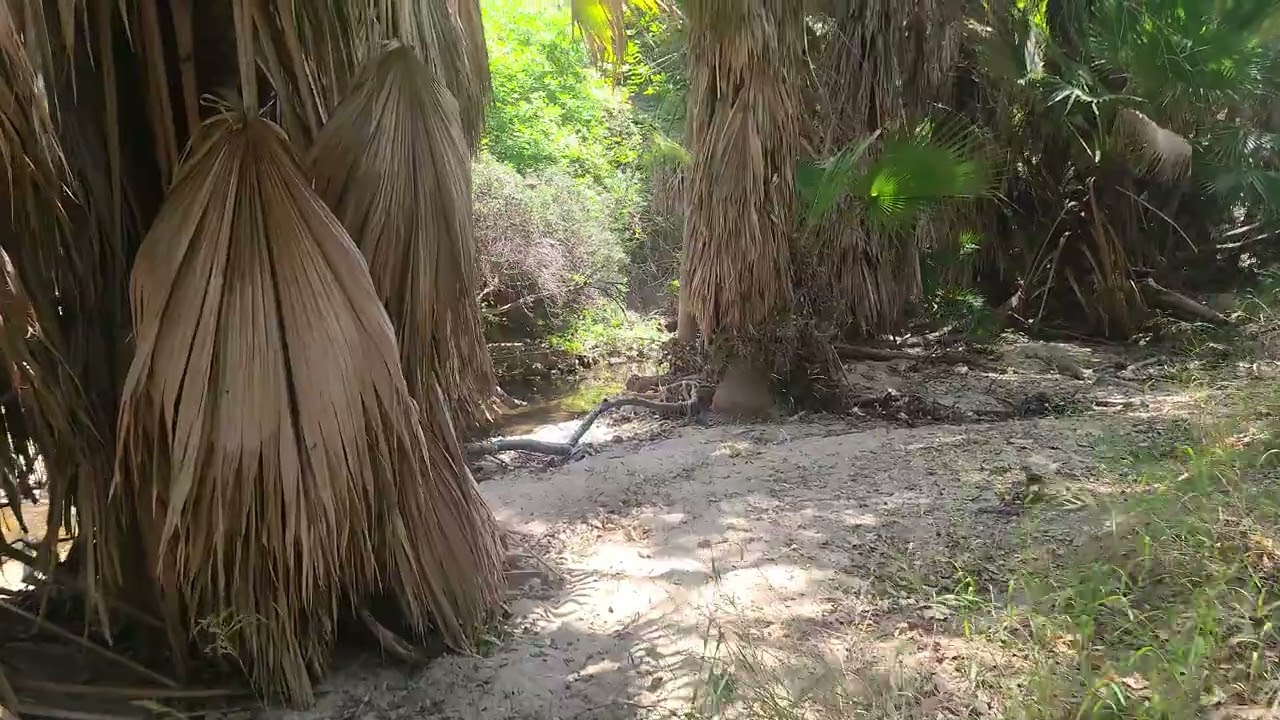 Walnut Creek Trail