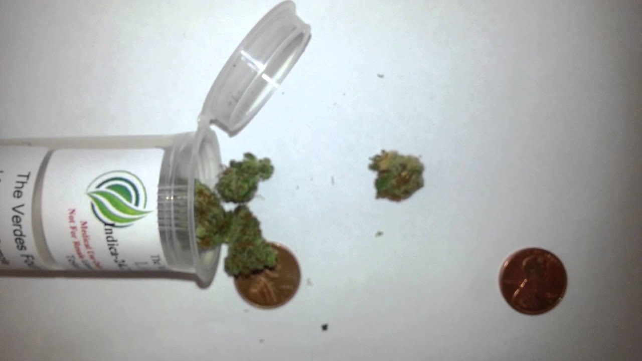 LA Cookies - Strain - Pictures and Video -THC: 24.2% - NO REVIEW