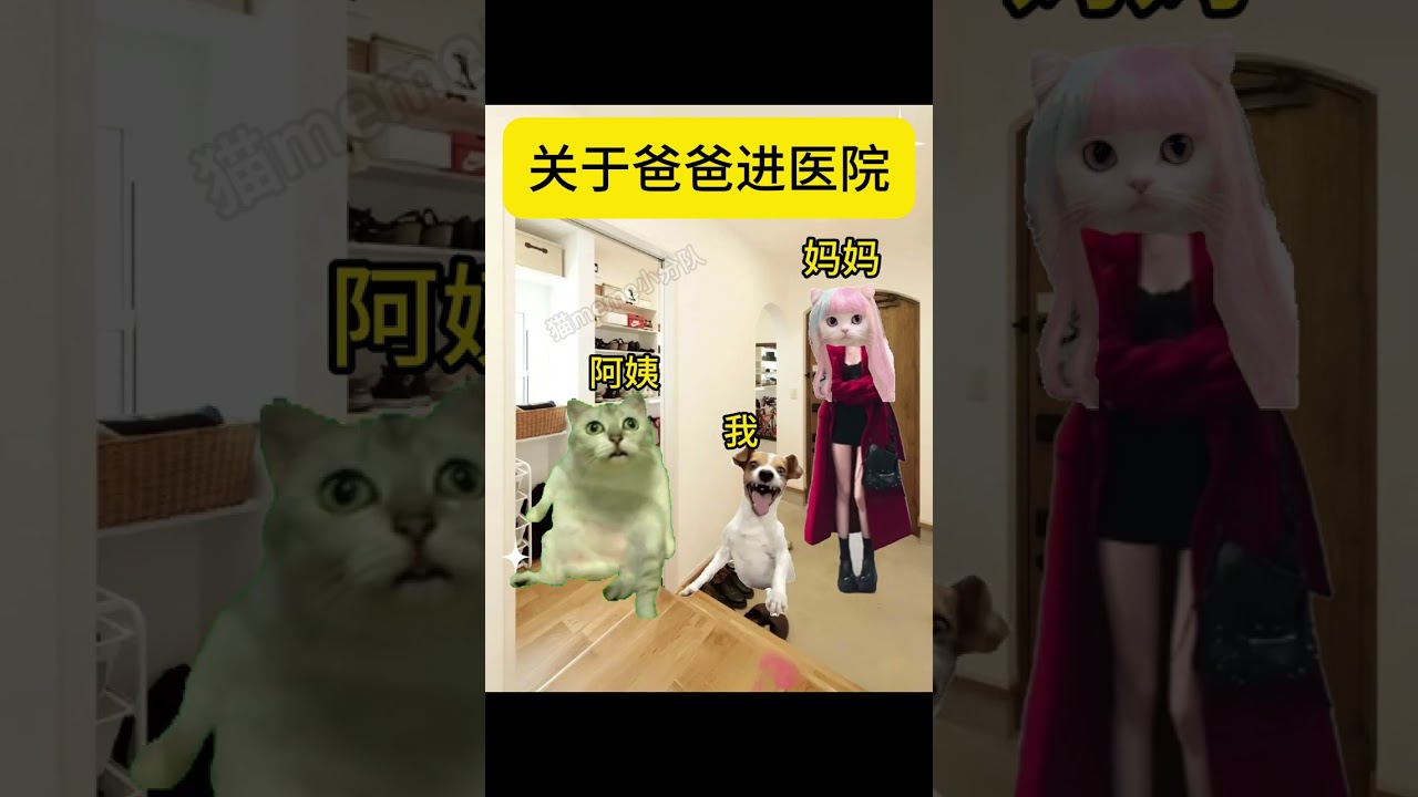 关于爸爸进医院About Dad going to the hospital