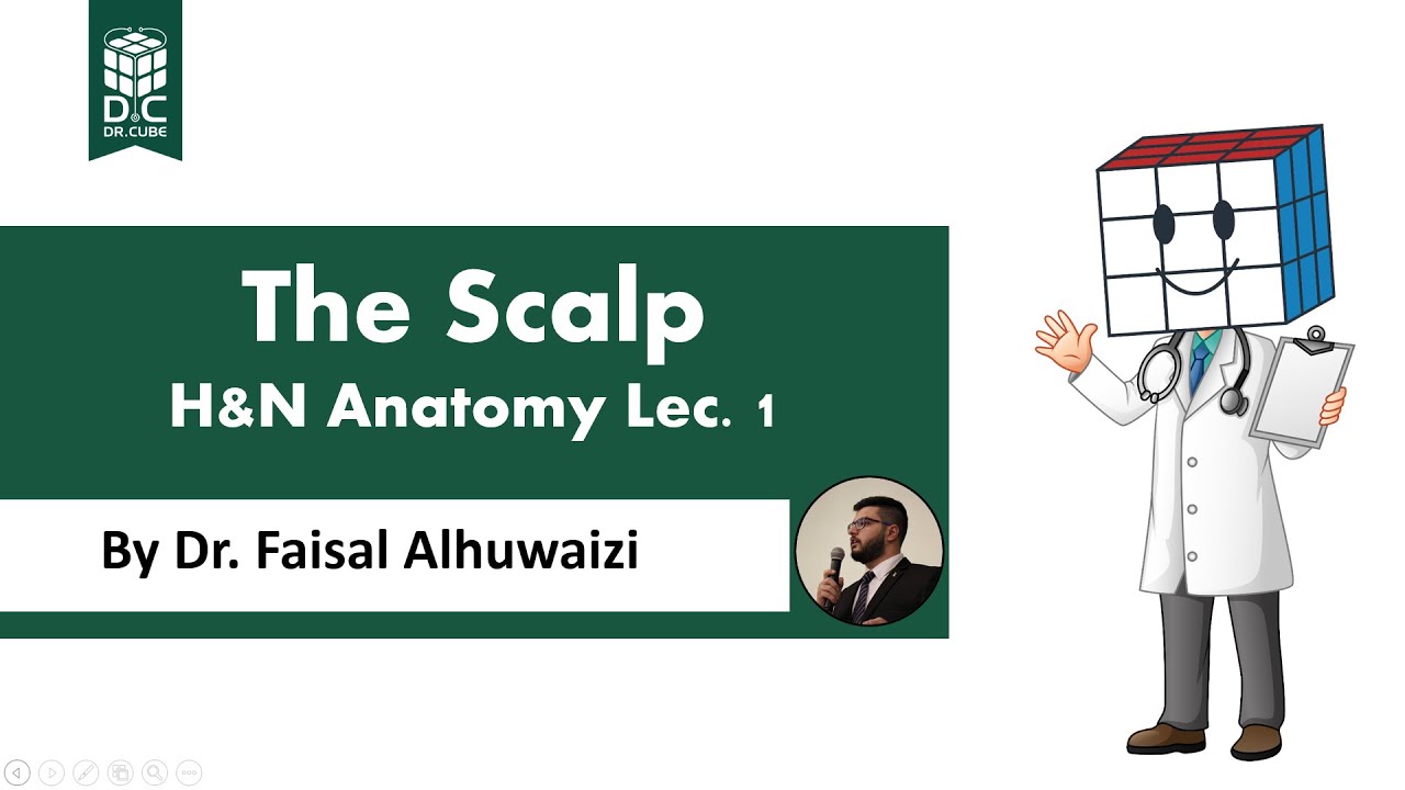 The Scalp, H&N Anatomy Lec. 1
