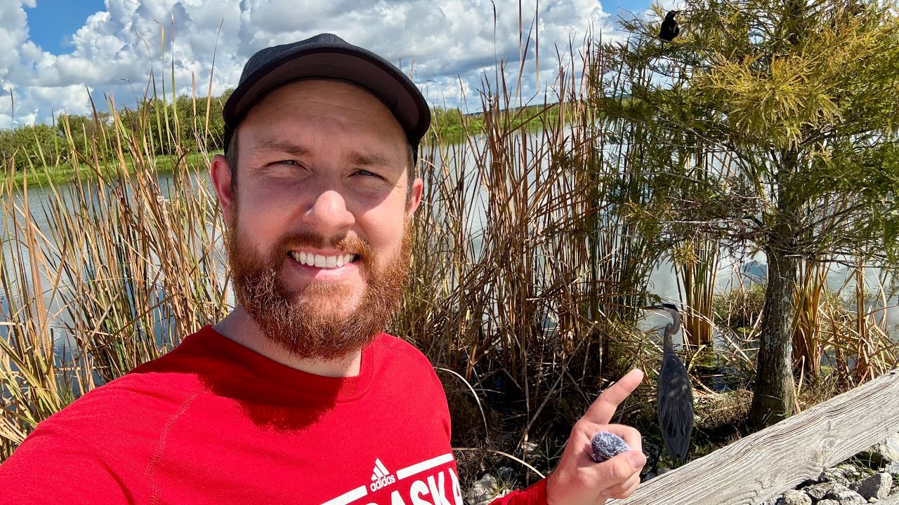 Best Free Spot for Florida Wildlife & Alligators is Lake Apopka Wildlife Drive | Must Visit!