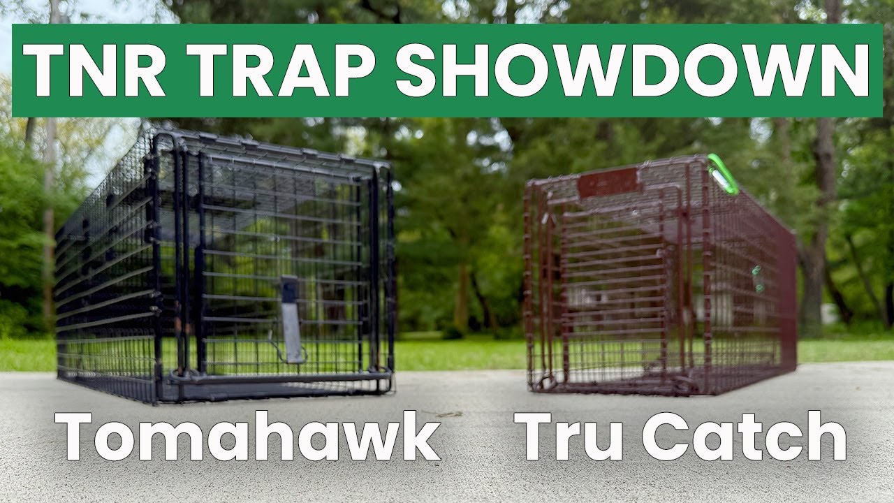 Tru Catch vs. Tomahawk: Which TNR Trap Should You Use?