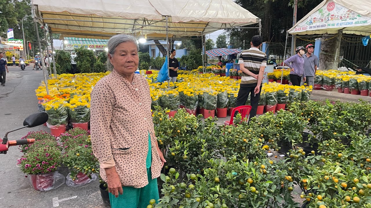 GIẢI CỨU GẤP 200 TRĂM TẮC BÀ CỤ BÁN KHÔNG AI MUA Ở CHỢ HOA CAO LÃNH NGÀY 28 TẾT
