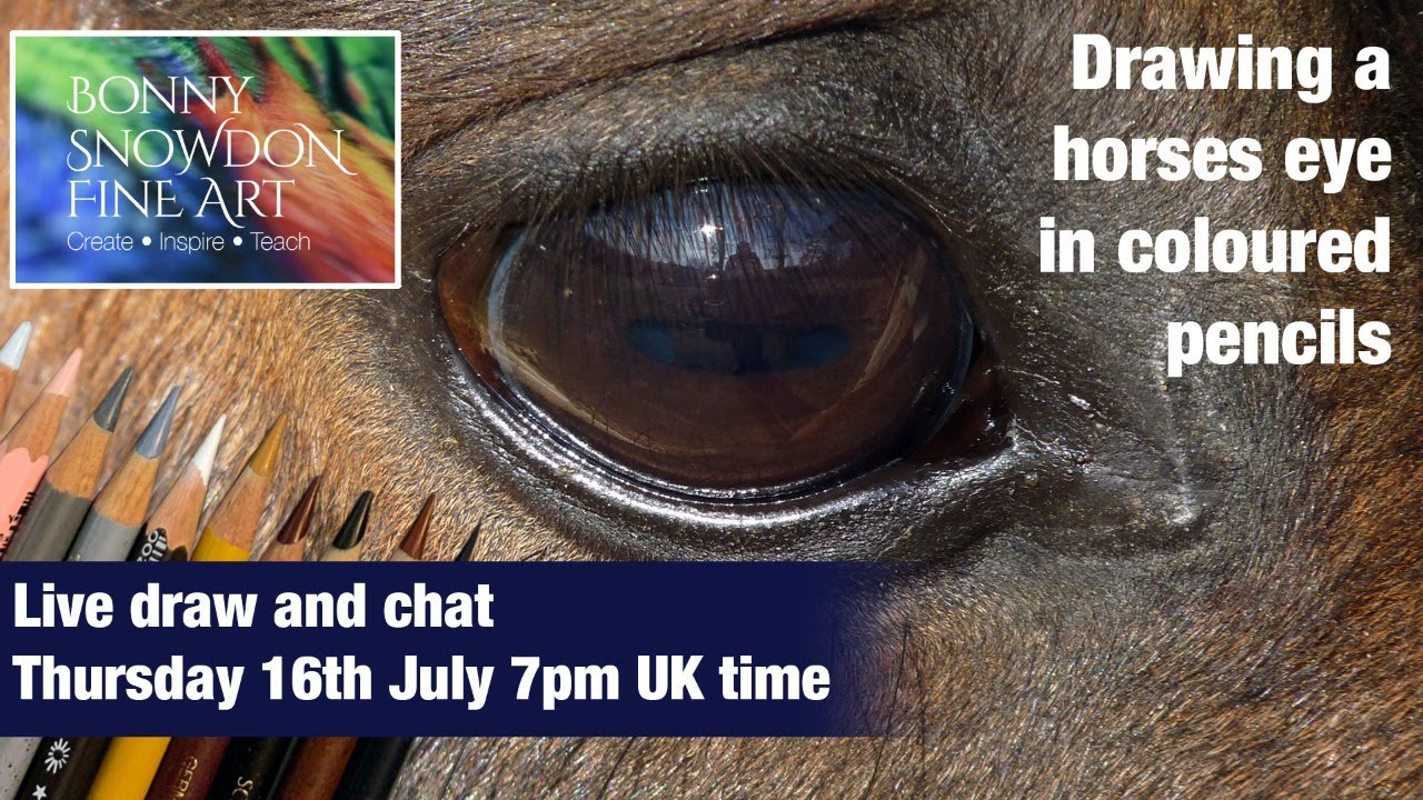 Live Draw Along and Chat | Horse Eye in Coloured Pencil