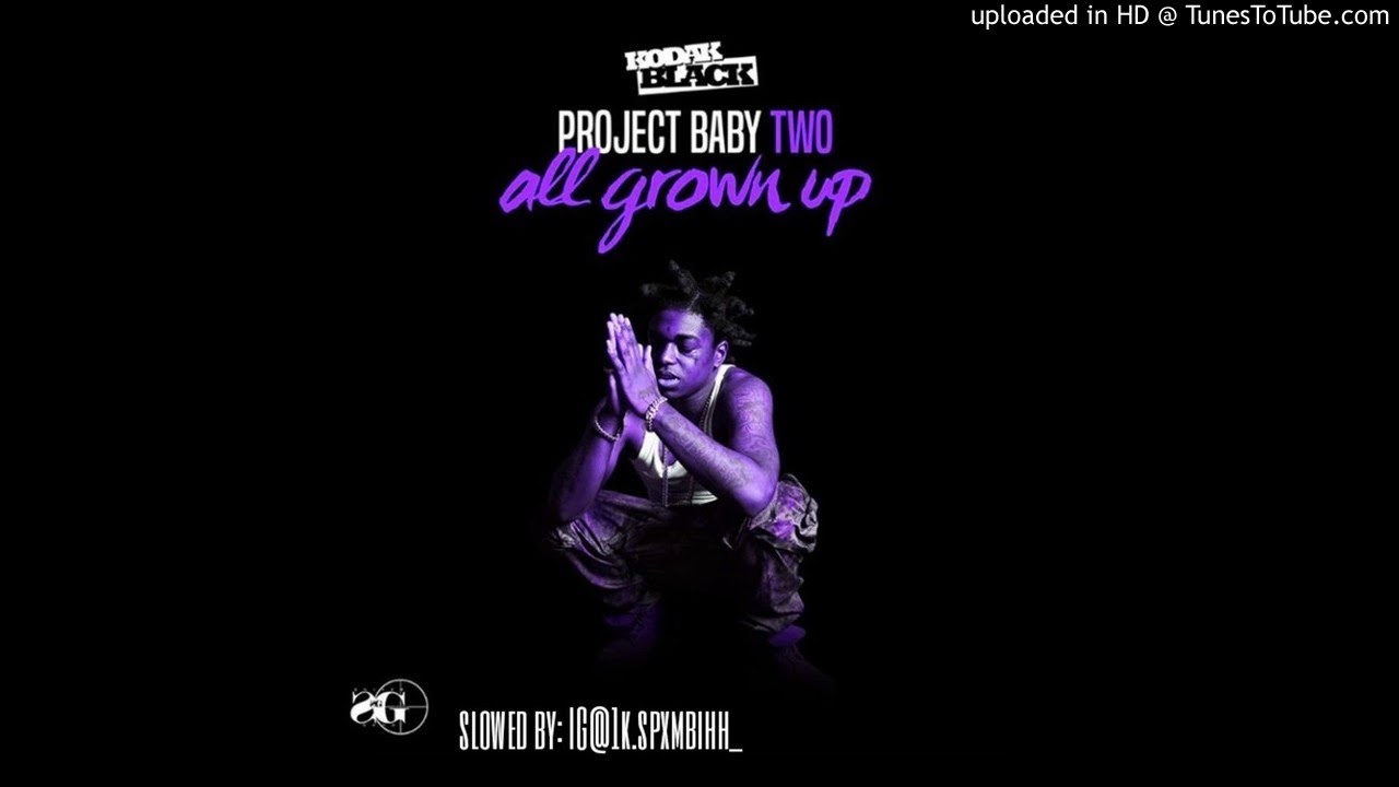 Kodak Black - Codeine Dreaming Ft. Lil Wayne (SLOWED)