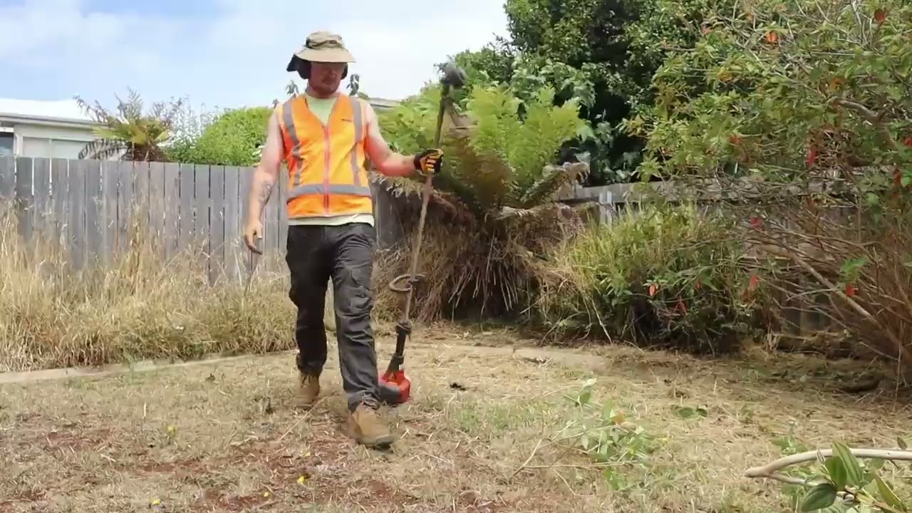 Satisfying Back Yard Clean-up